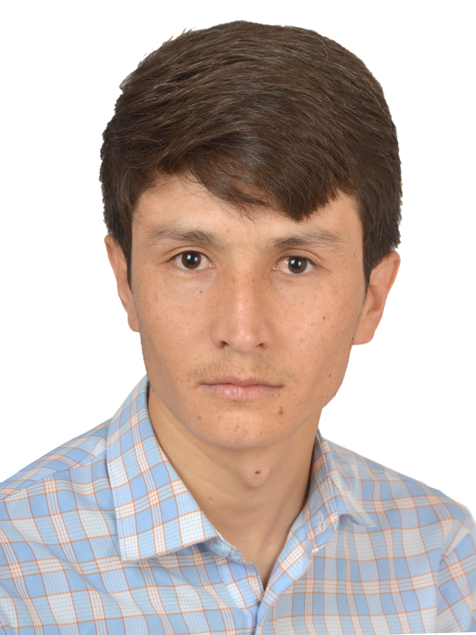 Ali-Zafar Najafi